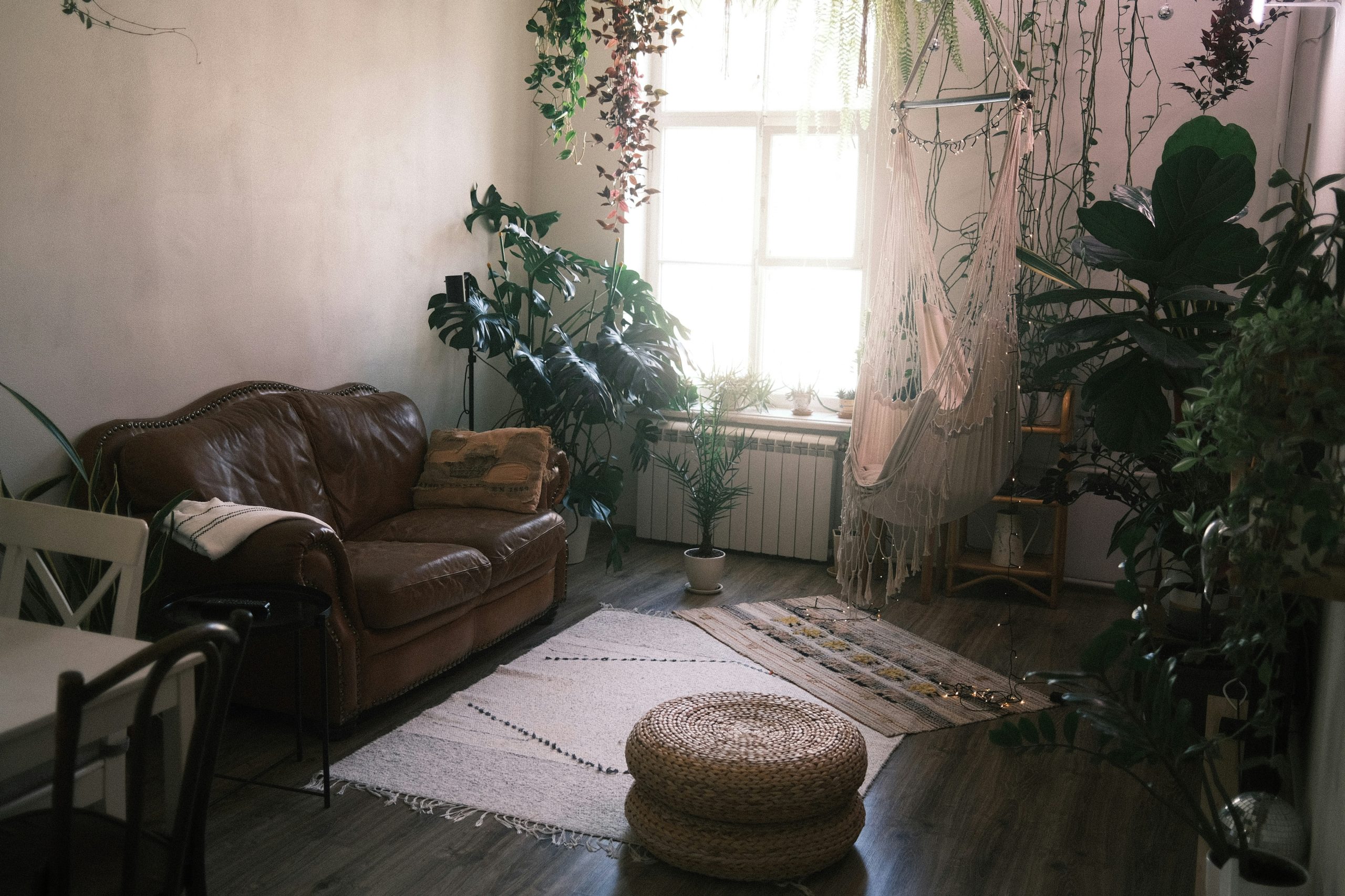 Hello world!